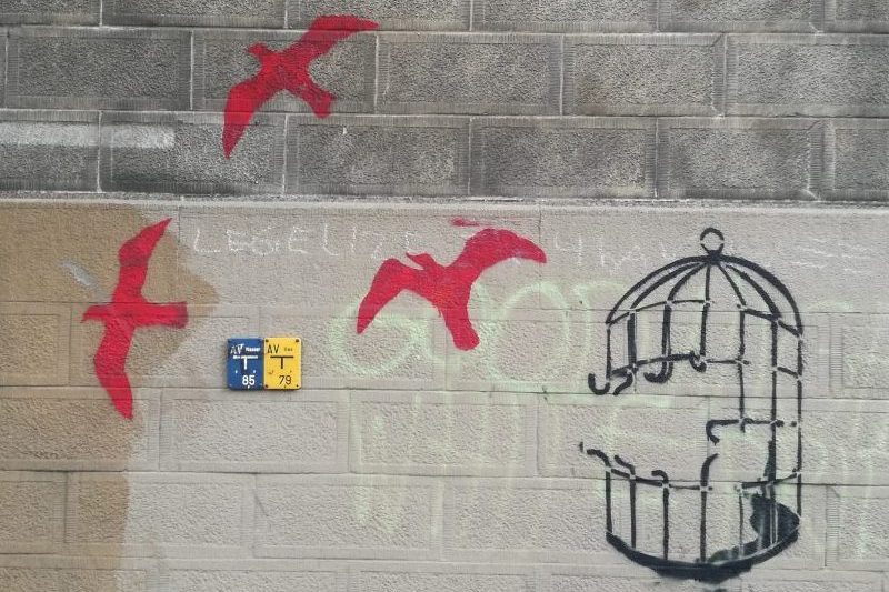 Street Art Foto: Ein aufgebrochener Vogelkäfig. Links daneben fliegen drei Vögel in rosa Farbe weg.